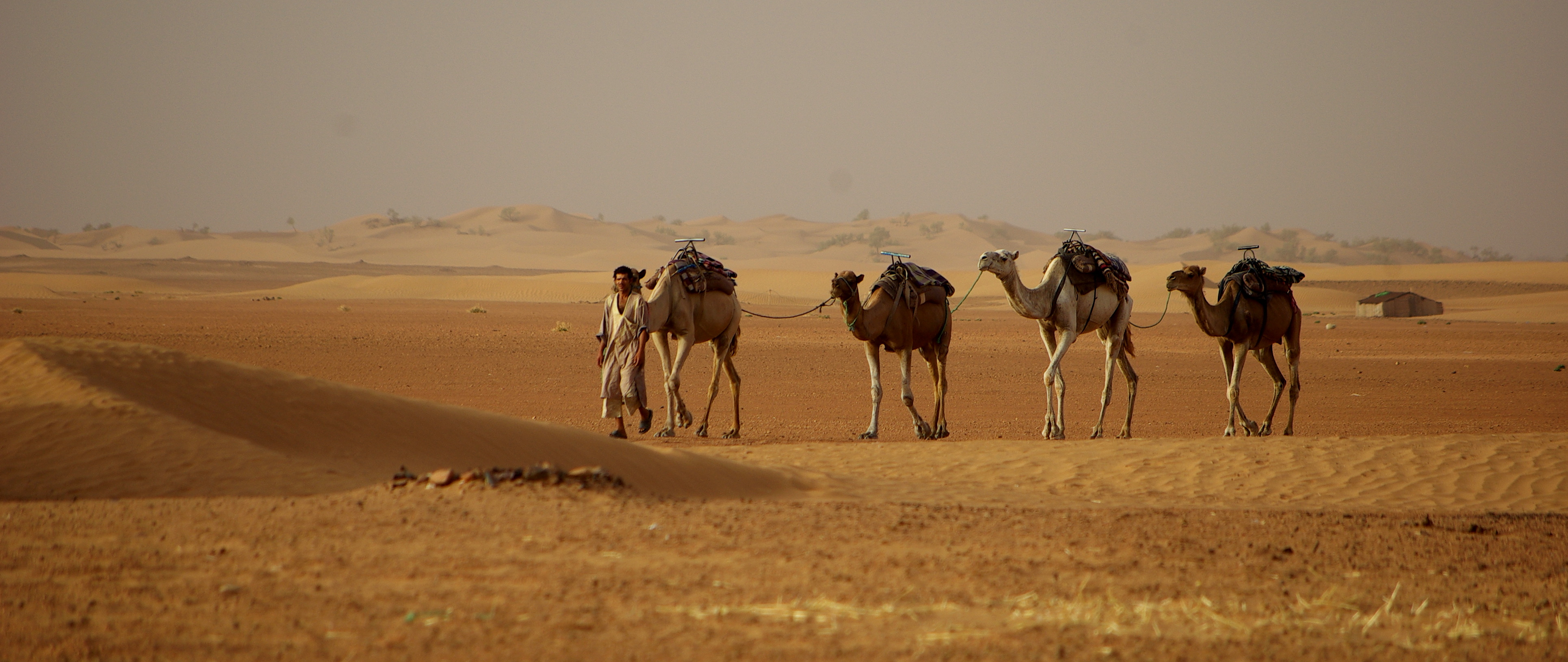 Wallpapers Trips : Africa Morocco 