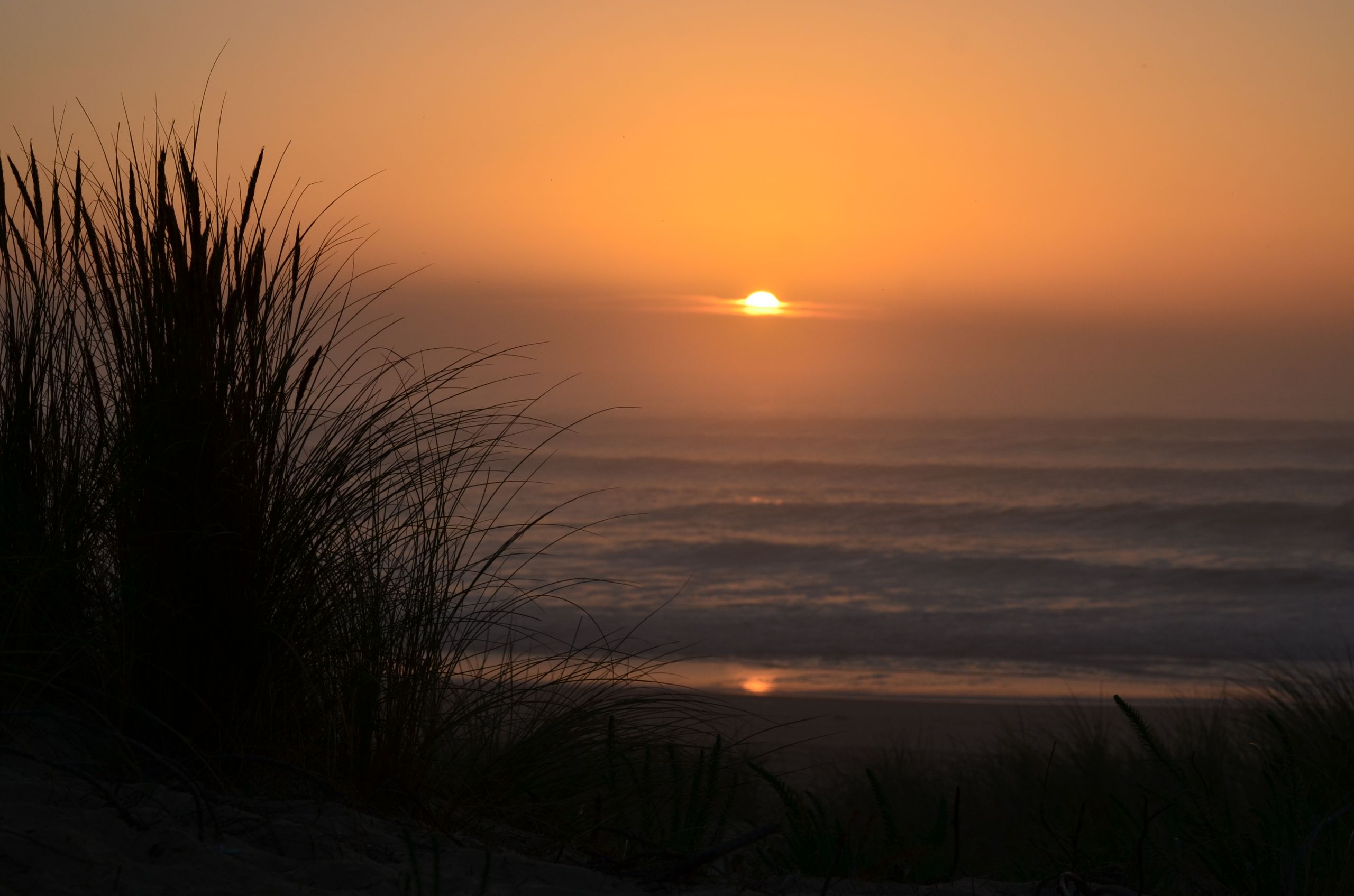 Wallpapers Nature Seas - Oceans - Beaches Brouillard sur la mer