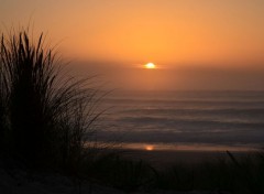  Nature Brouillard sur la mer