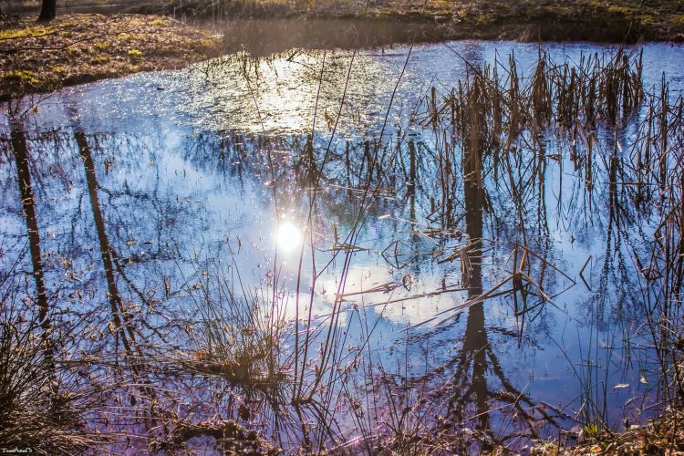 Fonds d'cran Nature Lacs - Etangs Etang