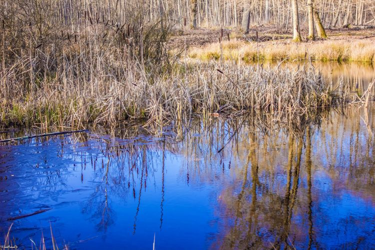 Wallpapers Nature Lakes - Ponds Etang