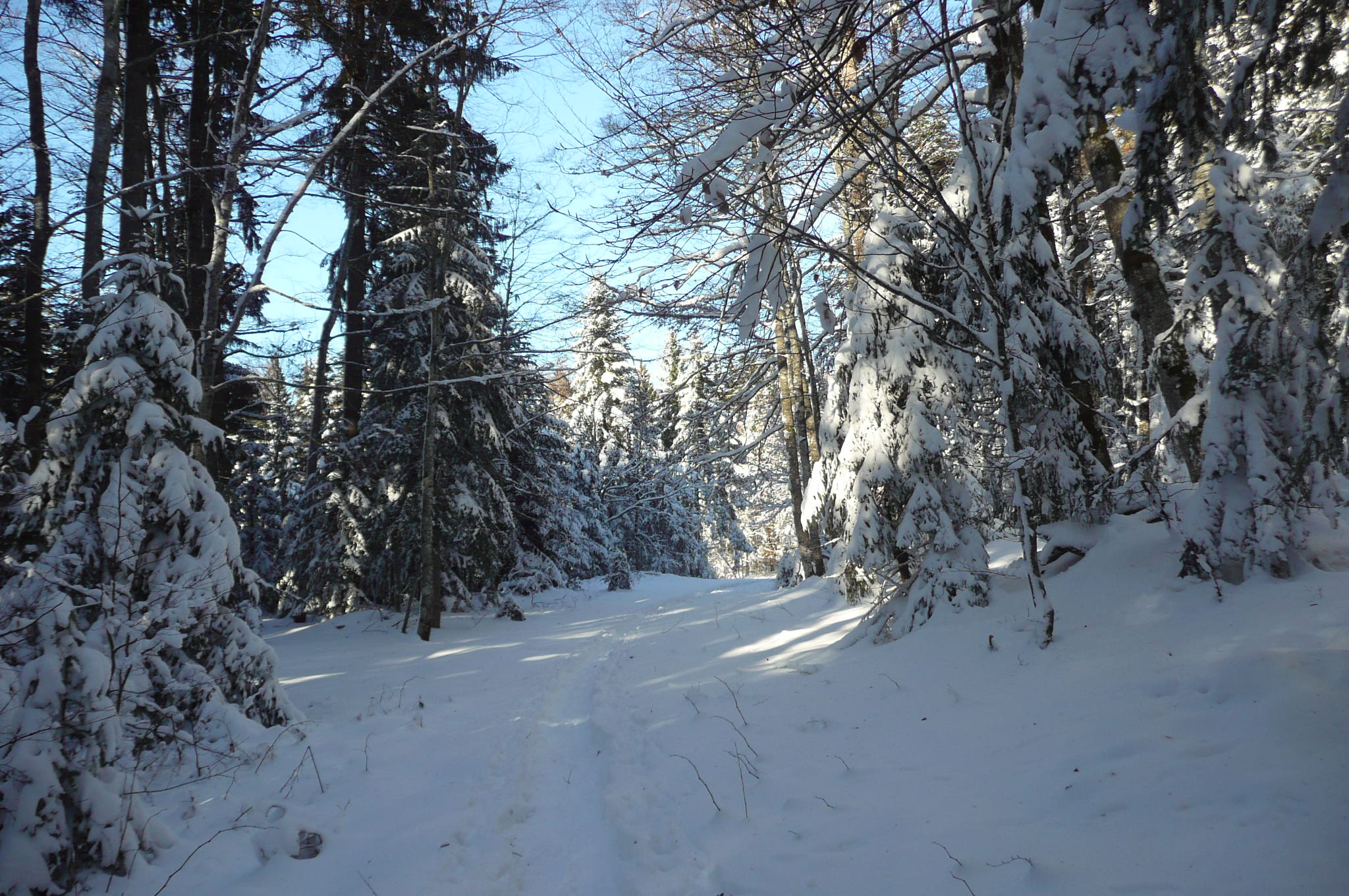 Wallpapers Nature Saisons - Winter Paysage de neige