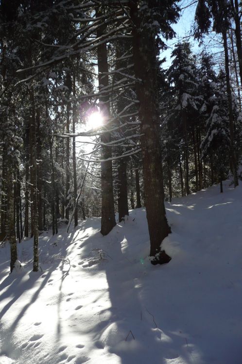 Fonds d'cran Nature Saisons - Hiver Paysage de neige