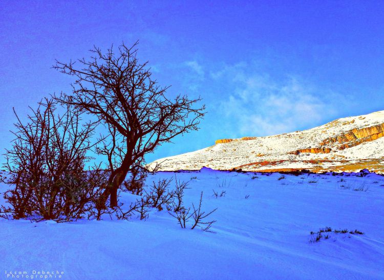 Fonds d'cran Nature Montagnes Hiver de charme