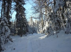  Nature Paysage de neige