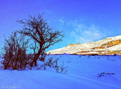  Nature Hiver de charme