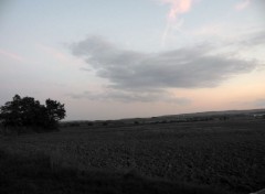  Nature Champs dans l'auxois