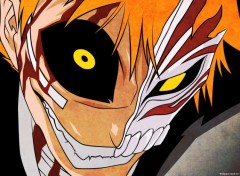  Manga Bleach