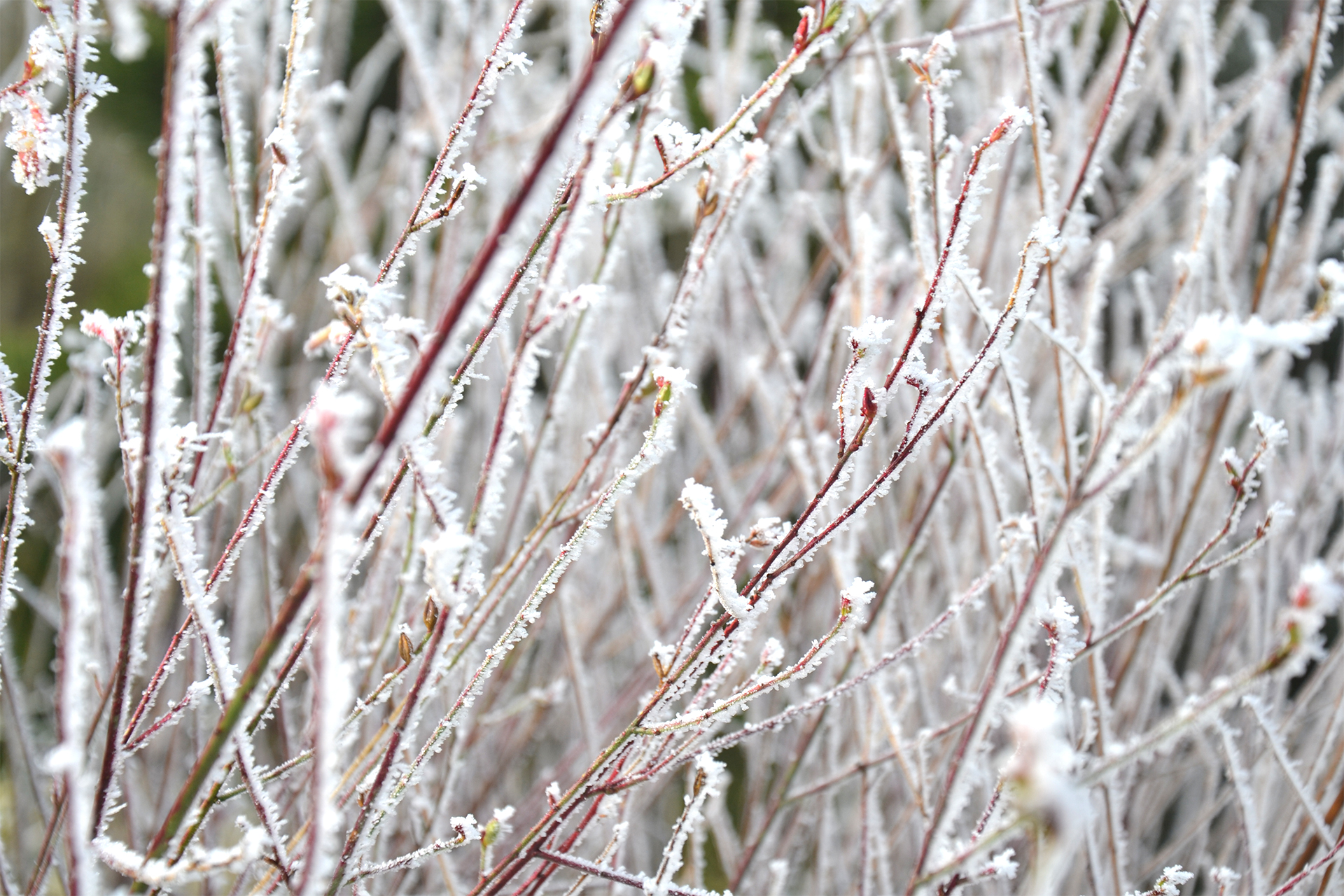 Wallpapers Nature Saisons - Winter 