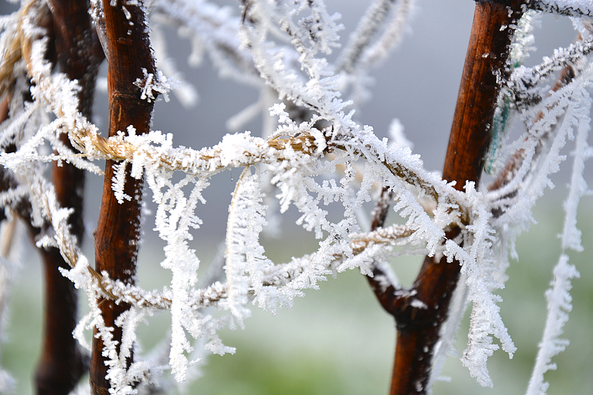 Fonds d'cran Nature Saisons - Hiver 