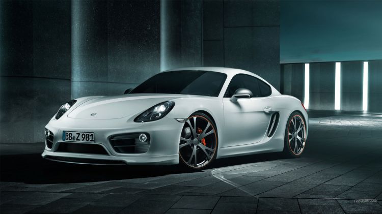 Wallpapers Cars Porsche Wallpaper N395784