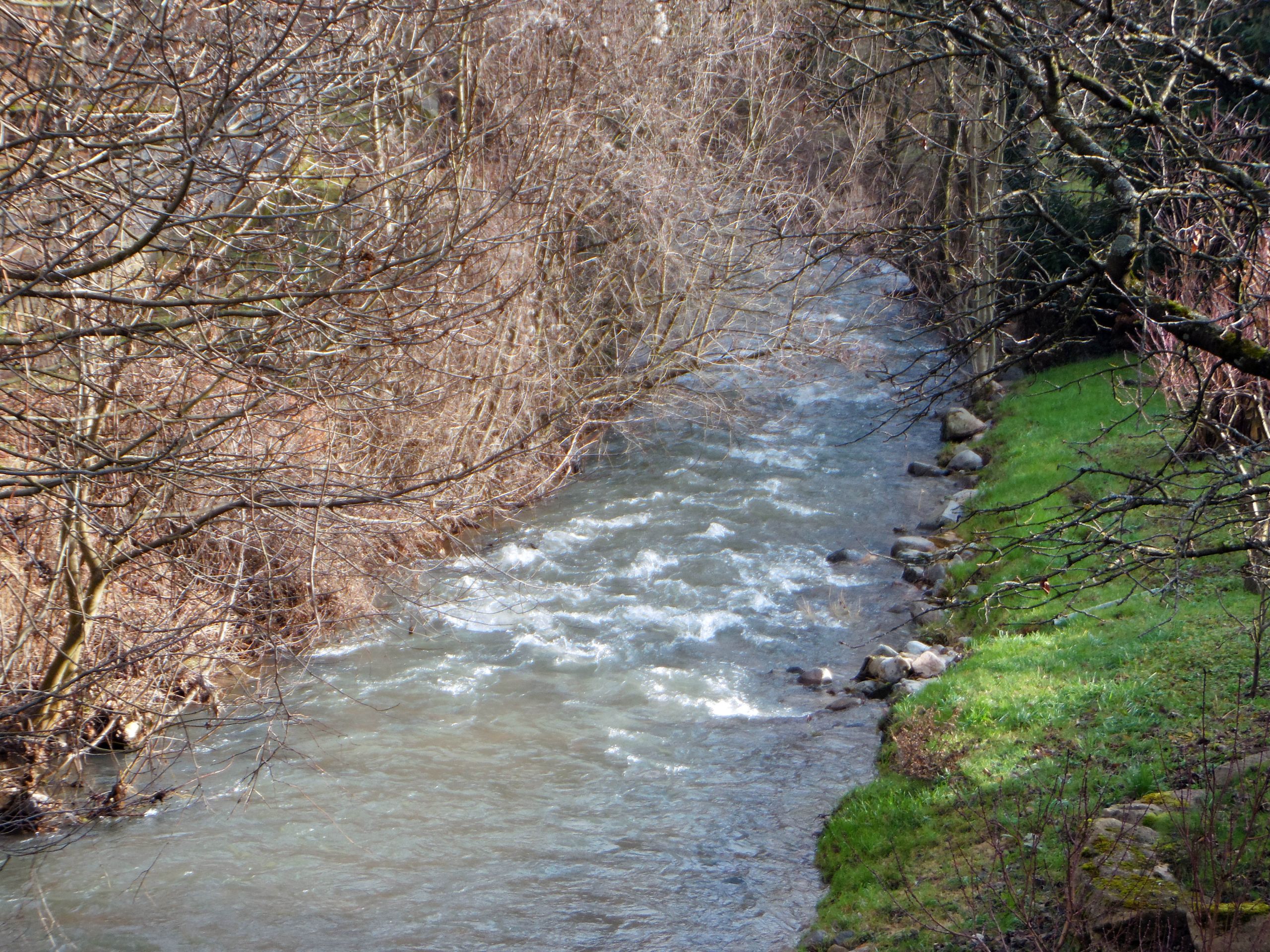 Wallpapers Nature Canals Botoret