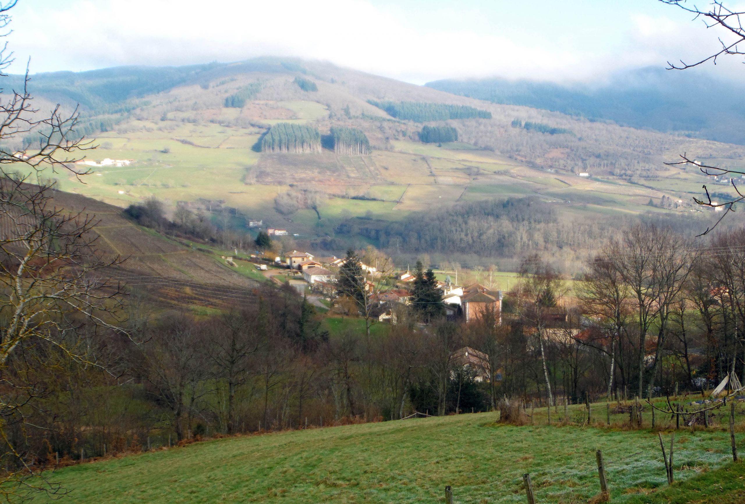 Wallpapers Nature Campaign Montagne du Beaujolais