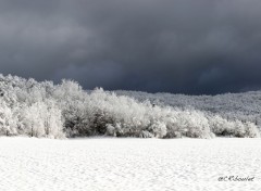  Nature Clair obscur