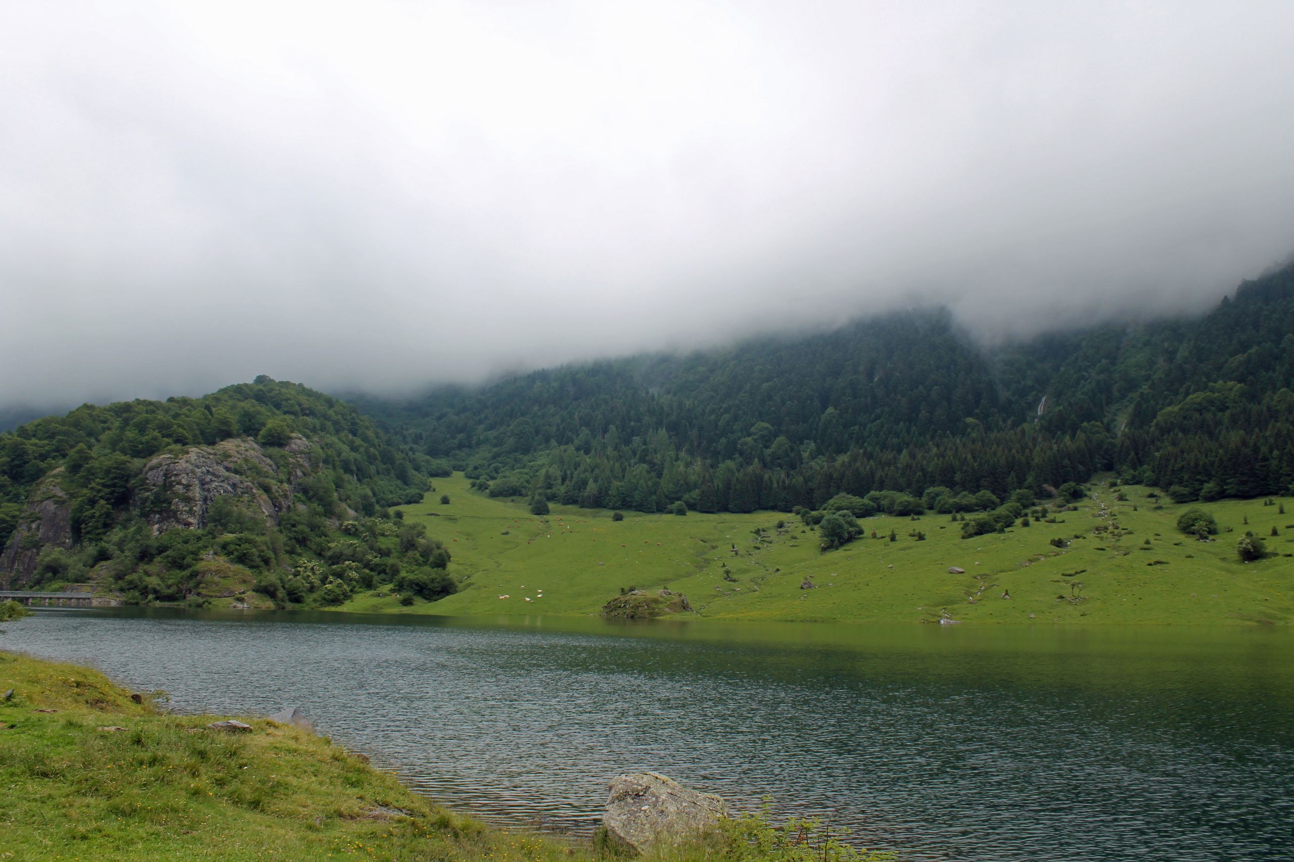 Fonds d'cran Nature Lacs - Etangs Lac du Tech 