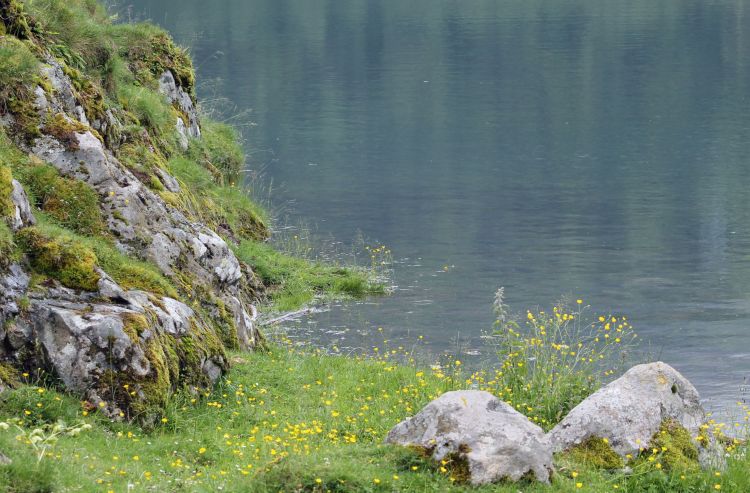 Fonds d'cran Nature Lacs - Etangs Lac du Tech 