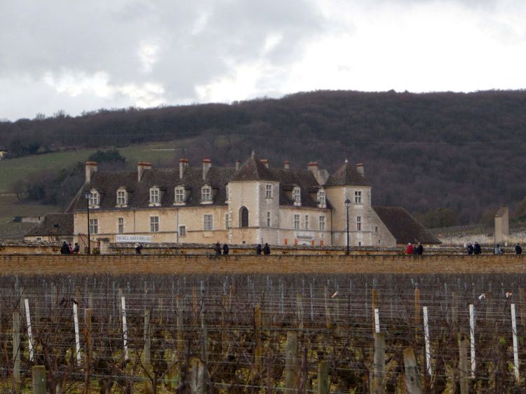 Fonds d'cran Constructions et architecture Constructions diverses Clos Vougeot (en hiver)