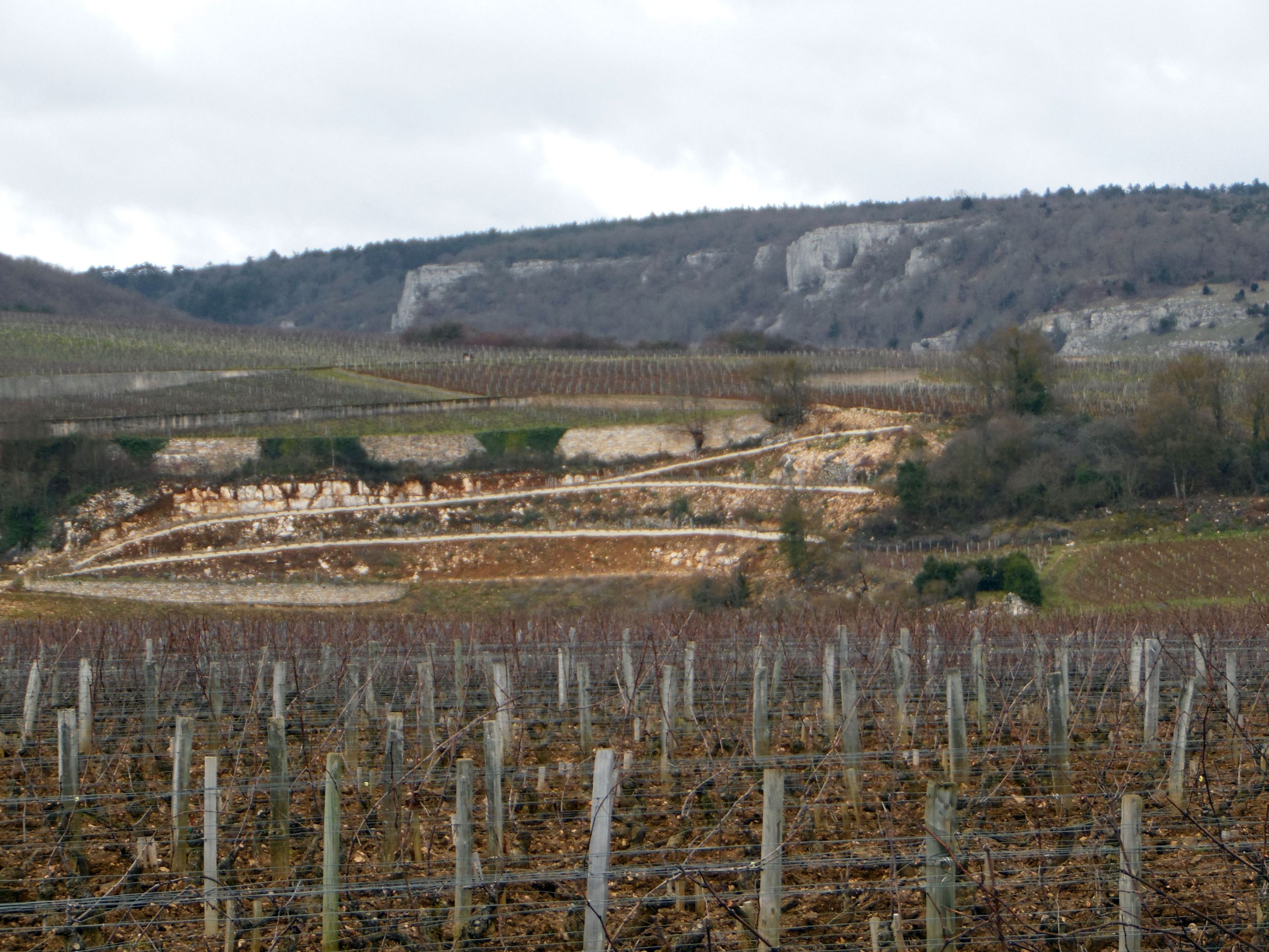 Fonds d'cran Nature Campagne Cteau bourguignon