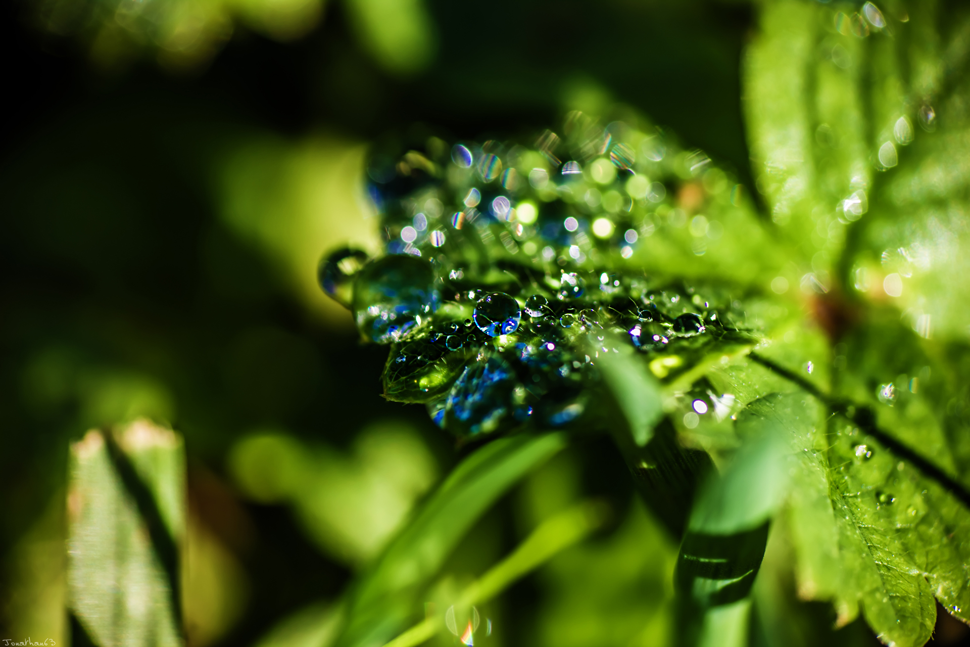 Wallpapers Nature Water - Drops 