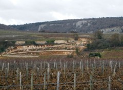  Nature Cteau bourguignon