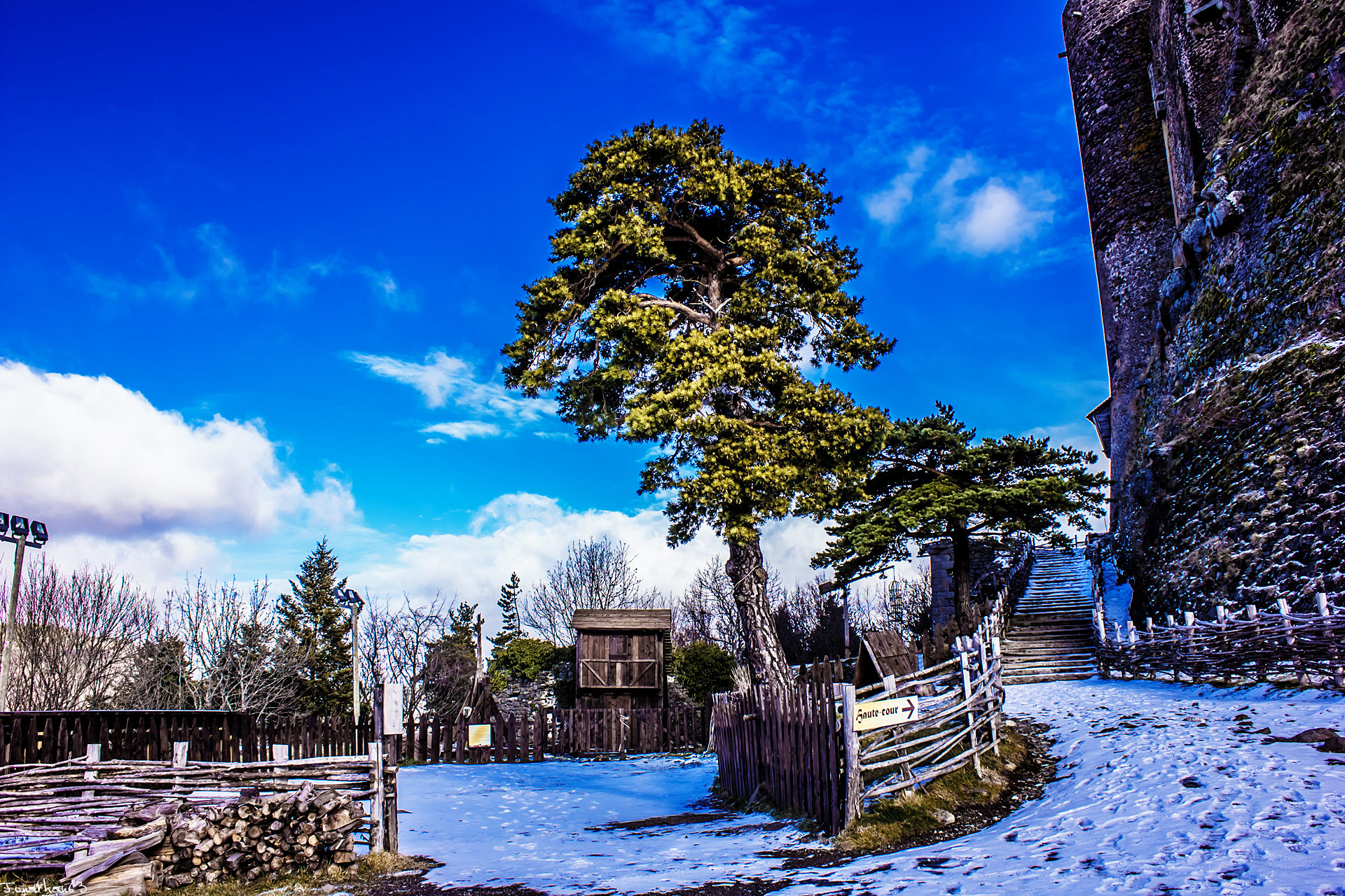 Fonds d'cran Nature Arbres - Forts Chteau de Murol (63).