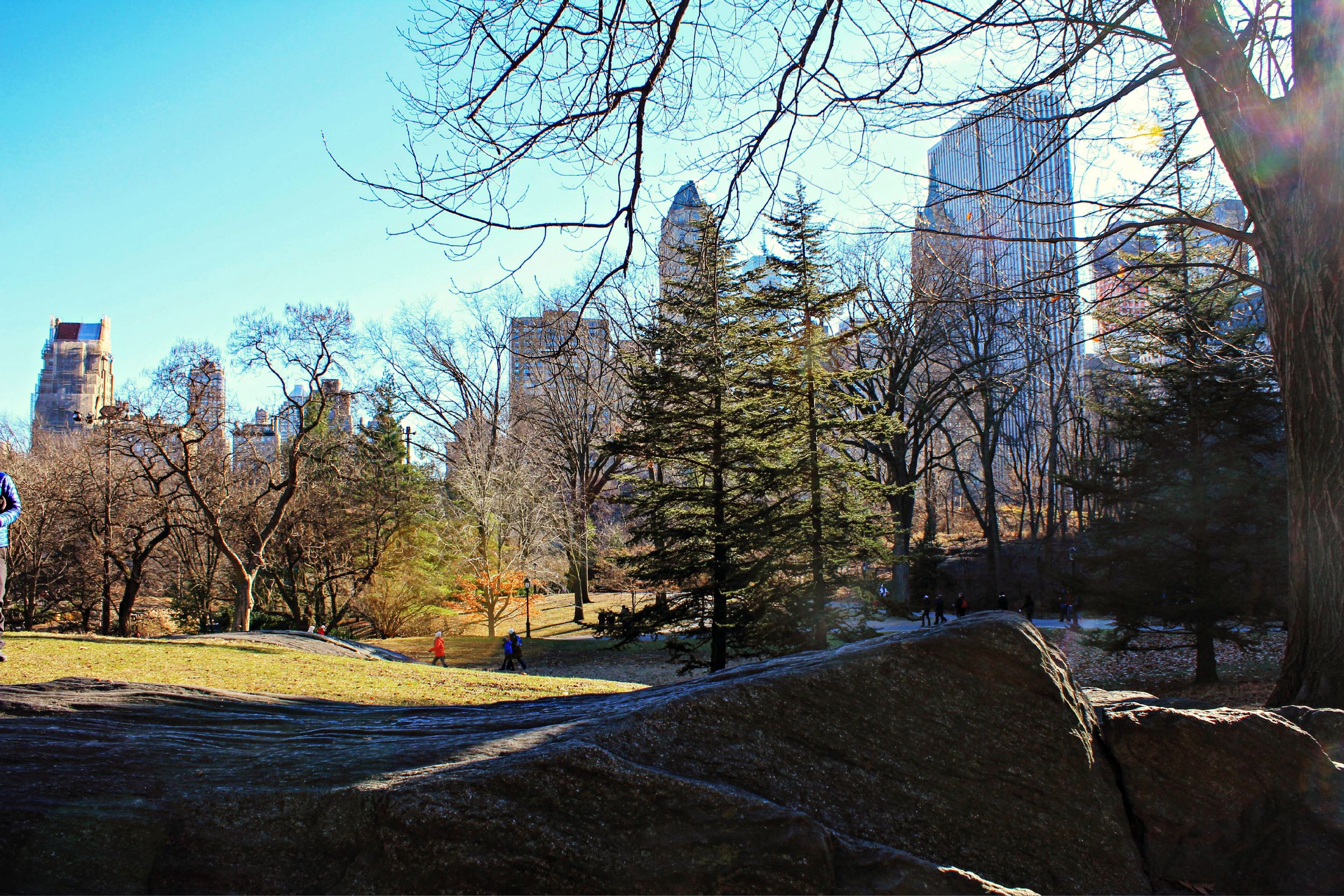 Fonds d'cran Voyages : Amrique du nord Etats-Unis > New York Central park