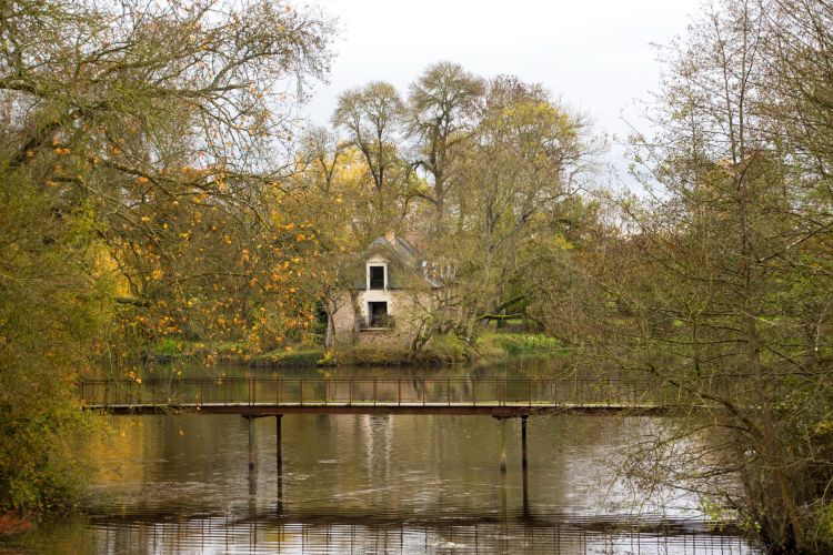 Fonds d'cran Nature Parcs - Jardins Le parc du chateau - Le Lion d'Angers -49-