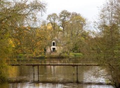  Nature Le parc du chateau - Le Lion d'Angers -49-