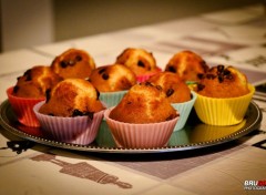  Objets Muffins aux pépites de chocolat