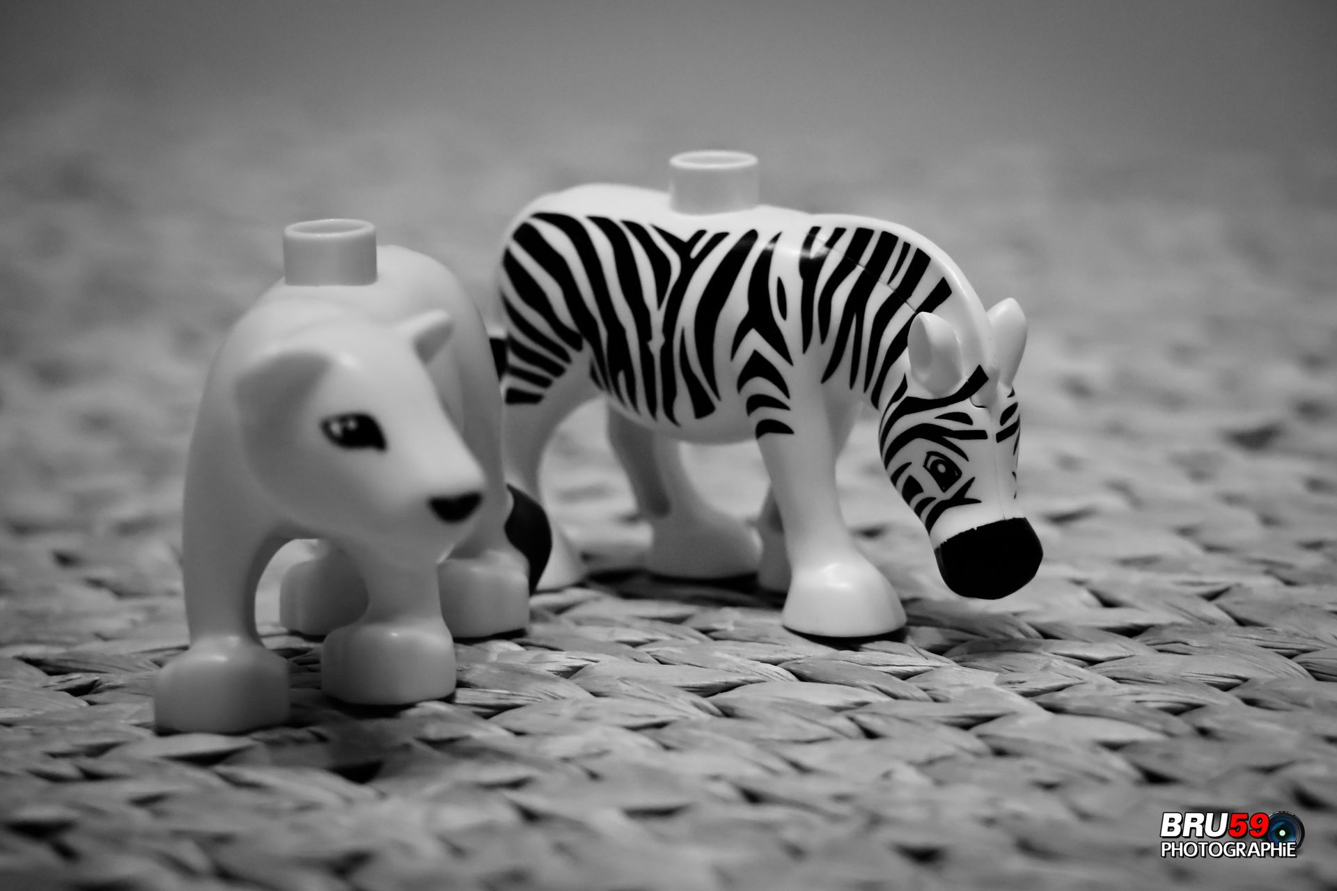 Wallpapers Objects Toys Lion et zbre sur bambou