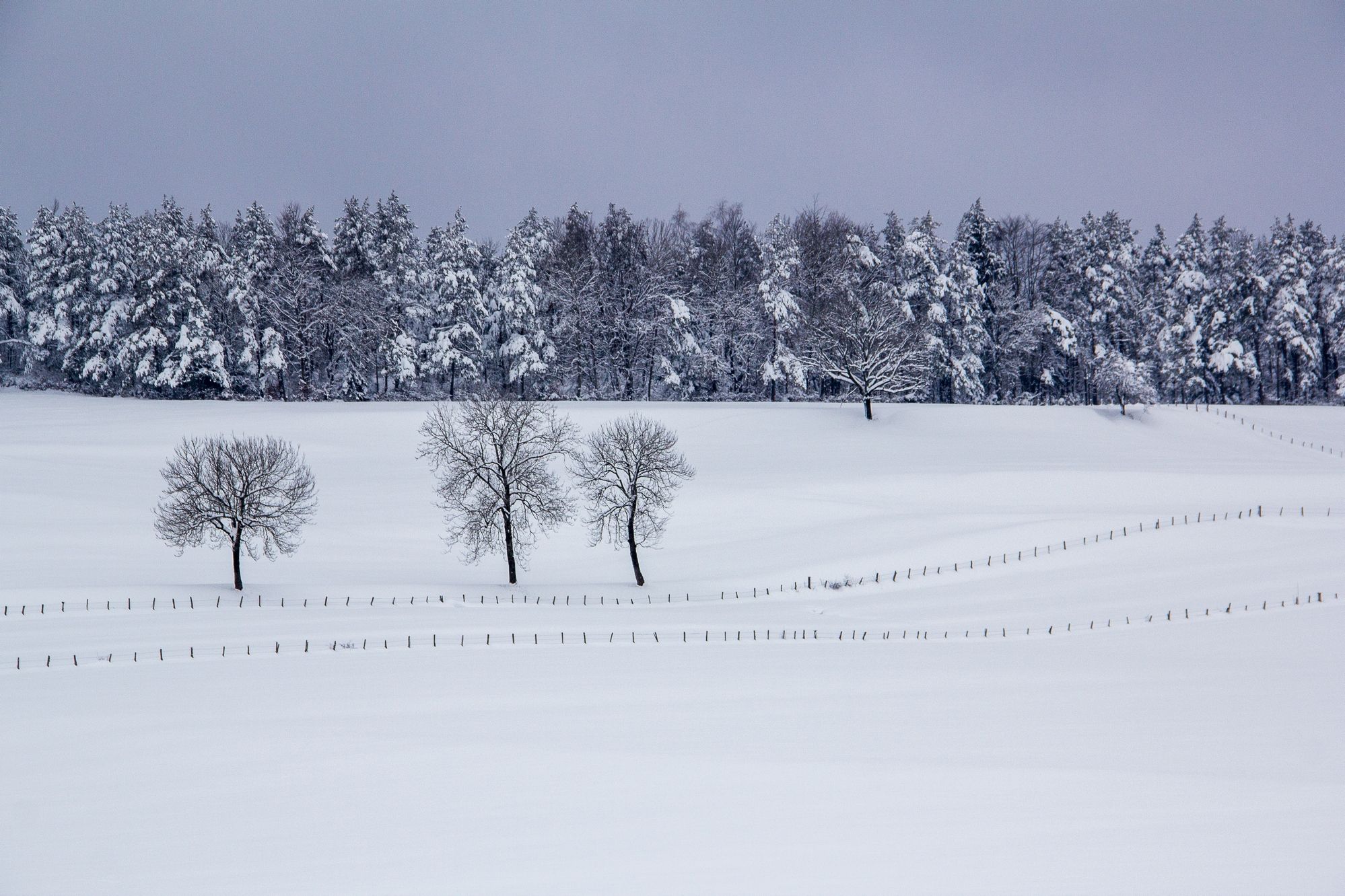 Fonds d'cran Nature Saisons - Hiver 