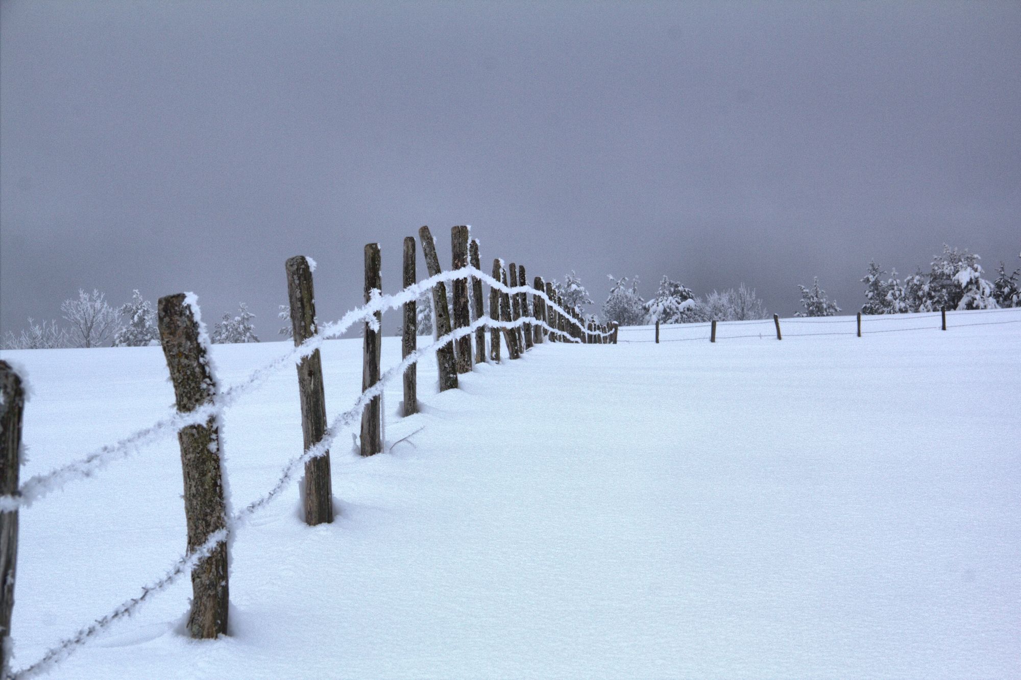 Wallpapers Nature Saisons - Winter 