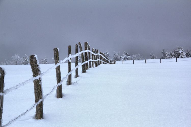 Fonds d'cran Nature Saisons - Hiver Wallpaper N397383