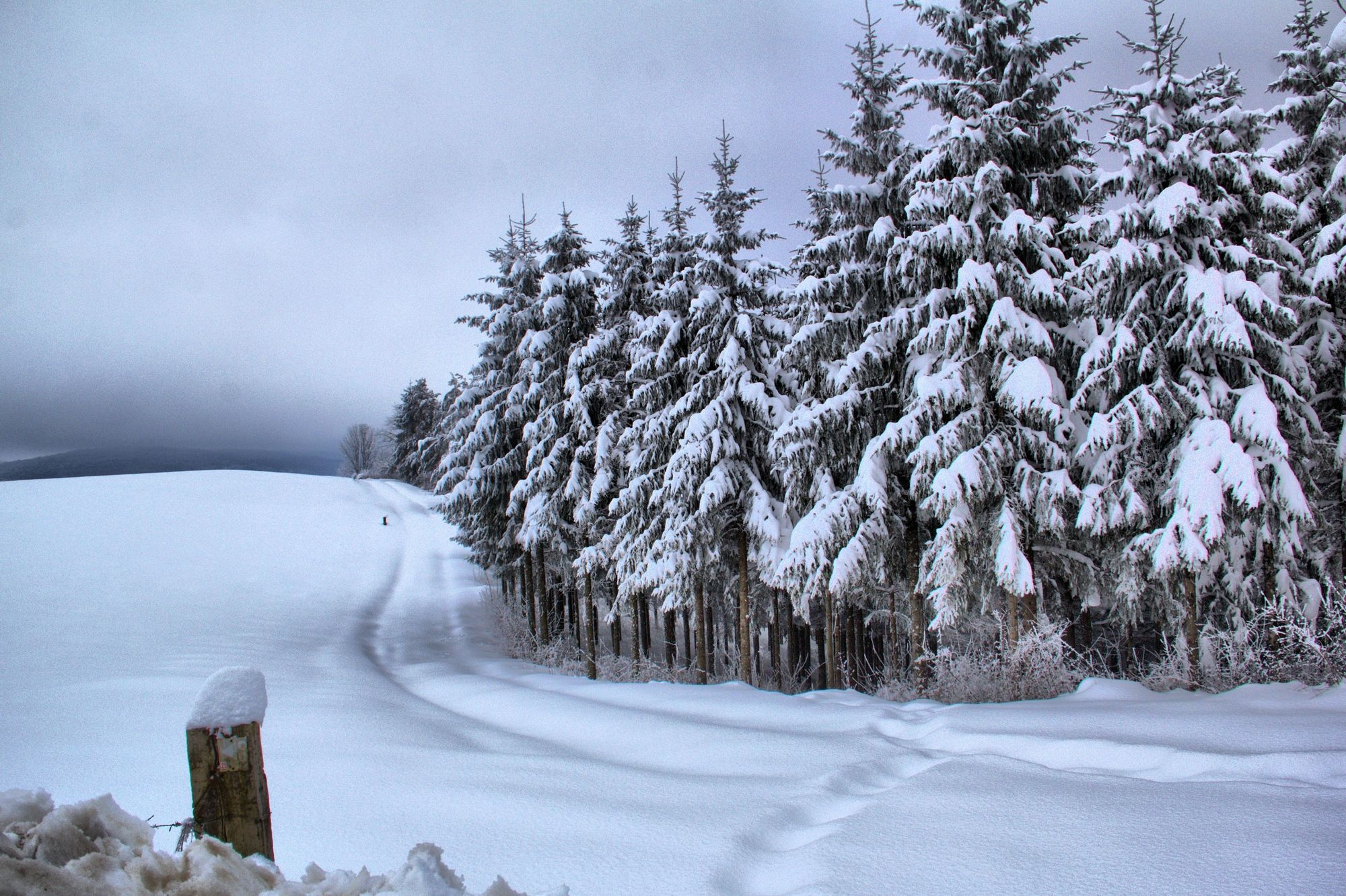 Fonds d'cran Nature Saisons - Hiver 