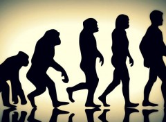  Digital Art Humain Evolution