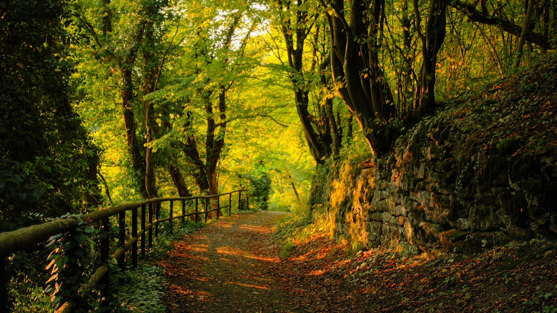 Wallpapers Nature Paths 