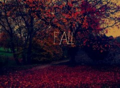  Nature Fall 