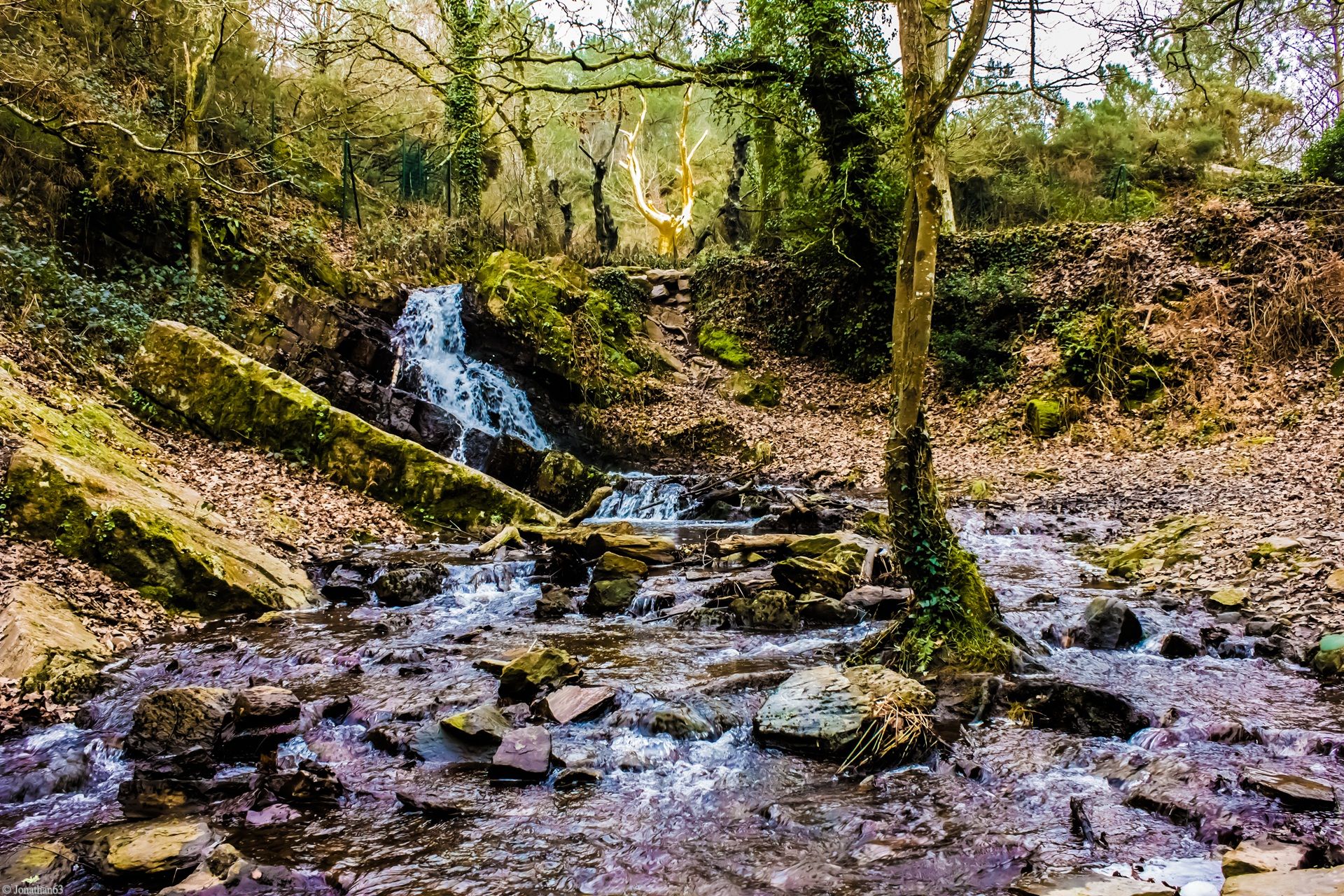 Fonds d'cran Nature Fleuves - Rivires - Torrents Forêt de Brocéliande (Bretagne).