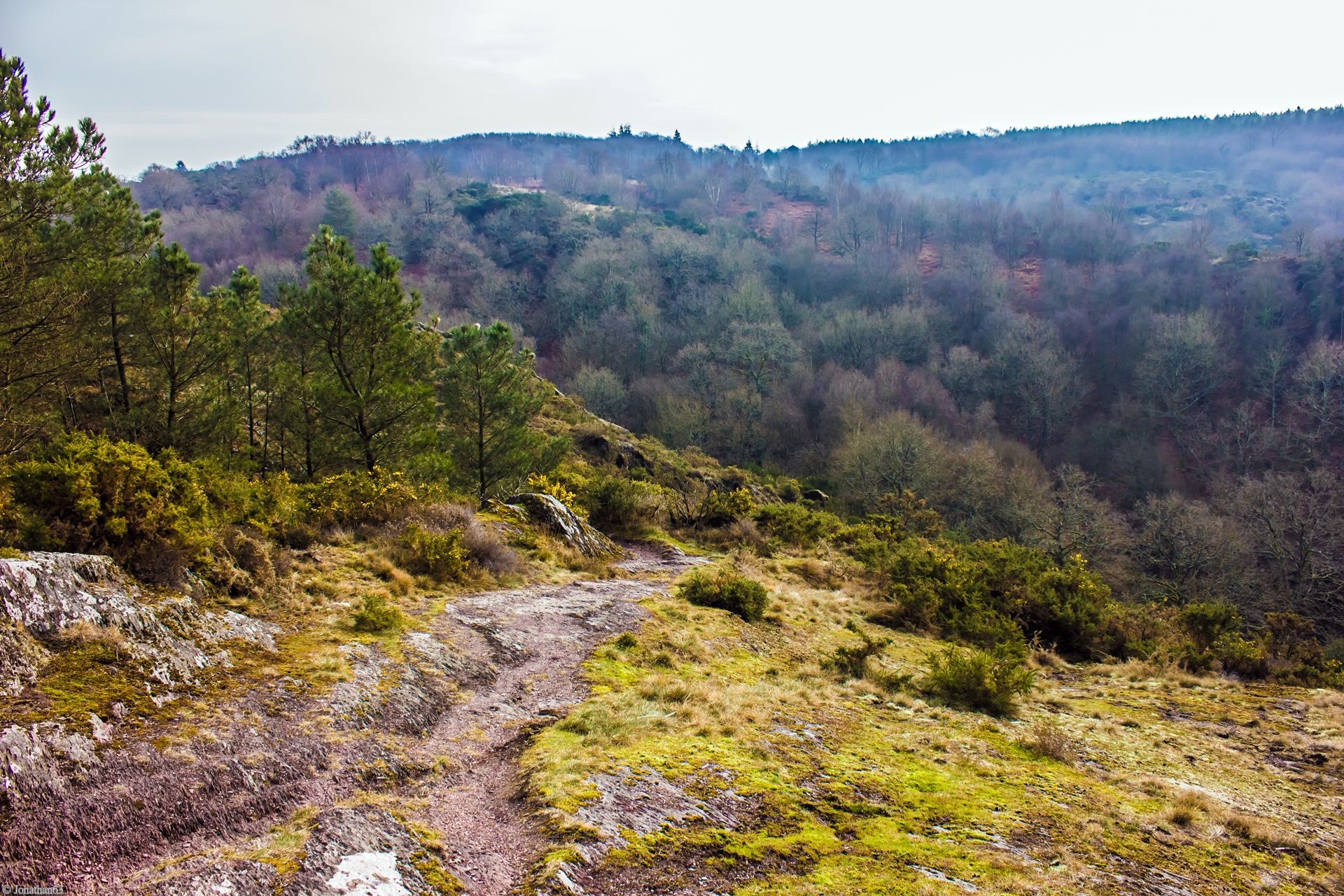 Fonds d'cran Voyages : Europe France > Bretagne Forêt de Brocéliande (Bretagne).