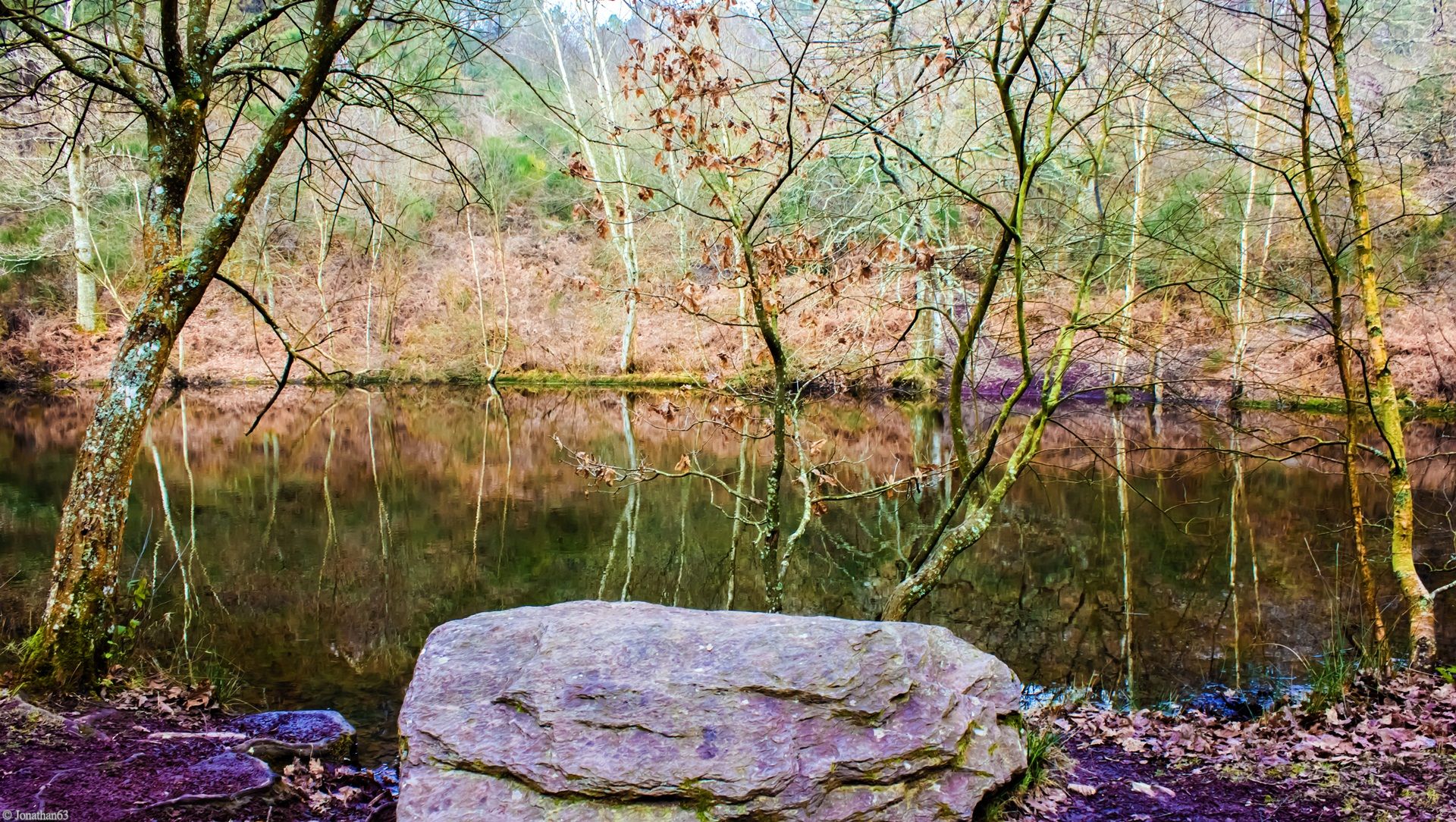 Fonds d'cran Nature Arbres - Forts Forêt de Brocéliande (Bretagne).