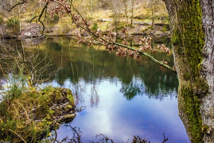 Fonds d'cran Nature Lacs - Etangs Etang