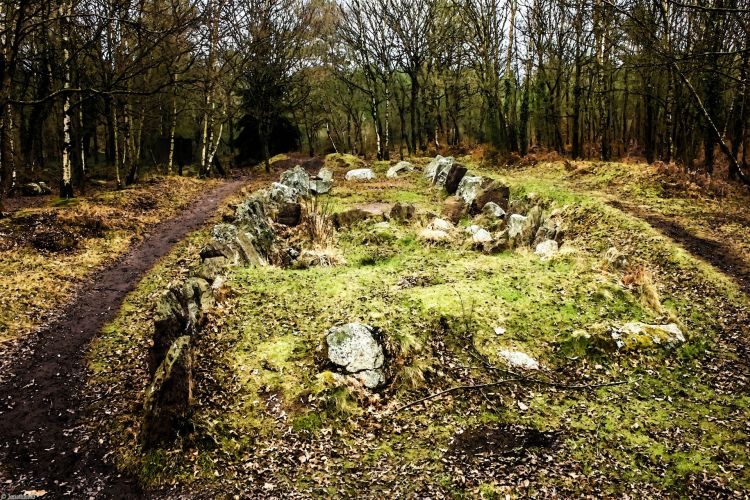 Wallpapers Trips : Europ France > Bretagne Forêt de Brocéliande (Bretagne).