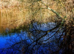  Nature Reflets