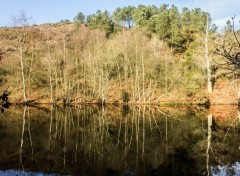  Nature Reflets