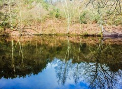  Nature Reflets