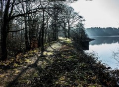  Nature Forêt de Brocéliande (Bretagne).