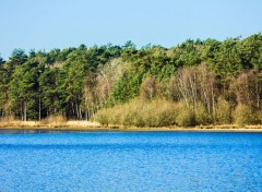  Nature Forêt de Brocéliande (Bretagne).