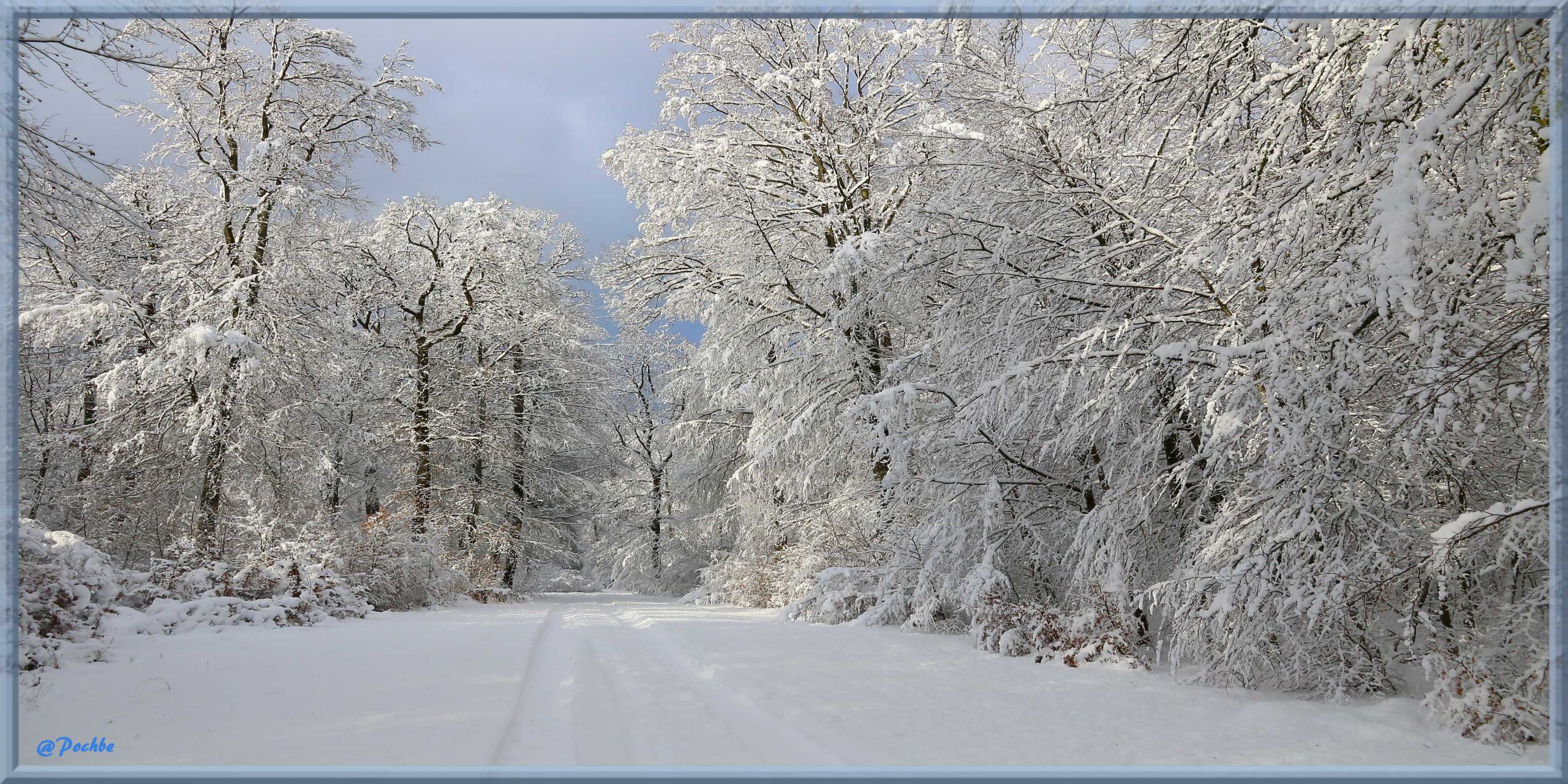 Fonds d'cran Nature Saisons - Hiver 