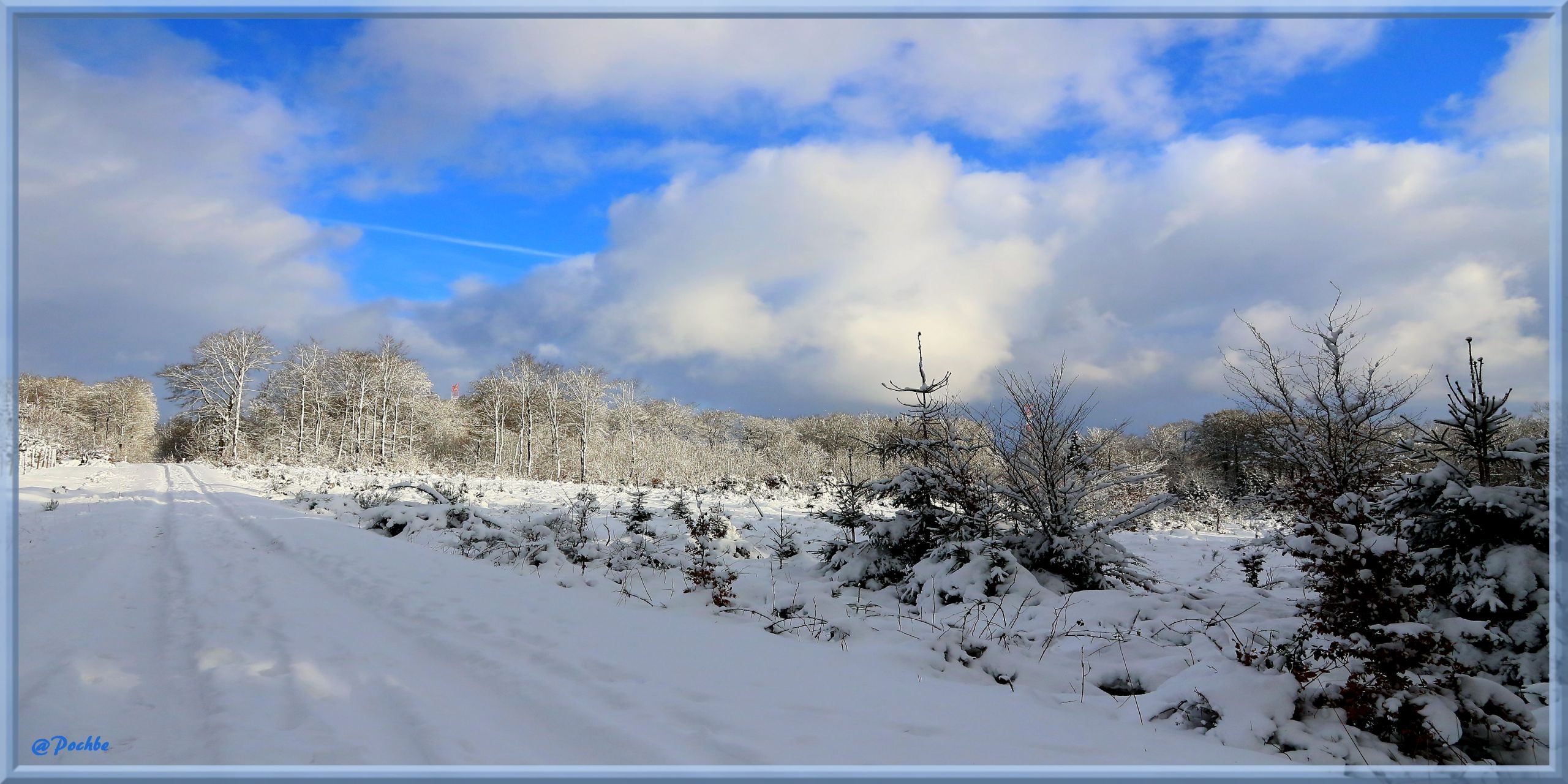 Wallpapers Nature Saisons - Winter 