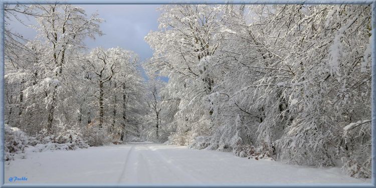 Fonds d'cran Nature Saisons - Hiver Wallpaper N398268